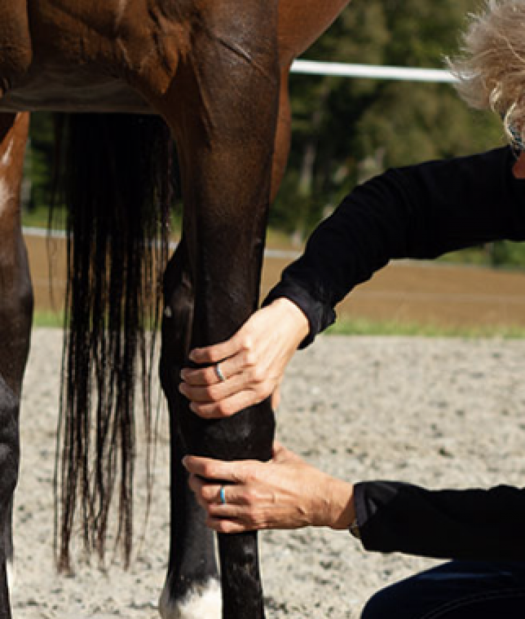 Osteopathie / Behandlung